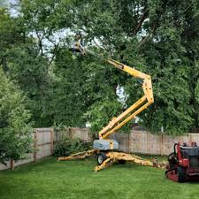 Best Tree Trimming and Pruning  in Bayview, CA