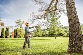 Best Soil Testing and Treatment  in Bayview, CA