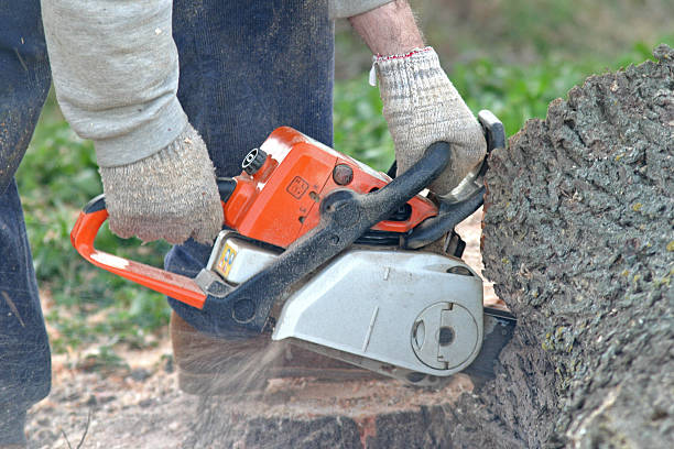Best Mulching Services  in Bayview, CA